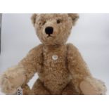 Steiff Bear, 1909 replica, with tag attached, button in ear with off-white label and black text,