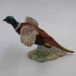 Beswick pheasant, no cracks or chips, L: 26 cm. UK P&P Group 2 (£20+VAT for the first lot and £4+VAT