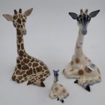 Two large and one small Szeiler giraffes, largest H: 21 cm, no cracks or chips. UK P&P Group 2 (£