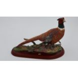 Border Fine Arts Russell Willis pheasant model, no. A1475, L: 28 cm, no cracks or chips. UK P&P