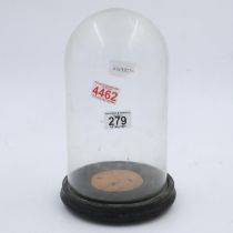 Victorian glass display dome on circular wooden base, H: 29 cm. Not available for in-house P&P