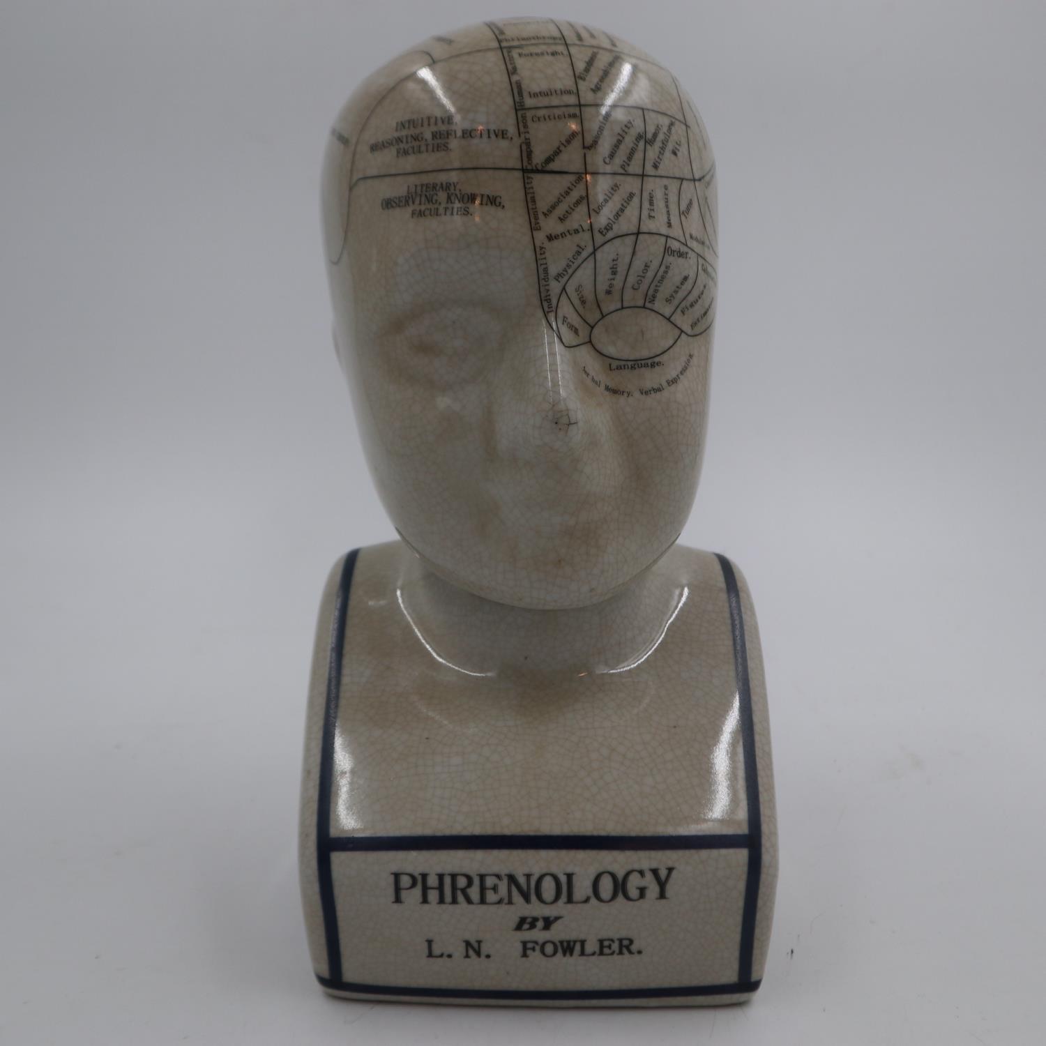 Large phrenology head, H: 29 cm. UK P&P Group 2 (£20+VAT for the first lot and £4+VAT for subsequent