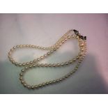 A strand of graduated pearls on a silver clasp. UK P&P Group 0 (£6+VAT for the first lot and £1+