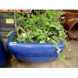 Large square planter. Not available for in-house P&P