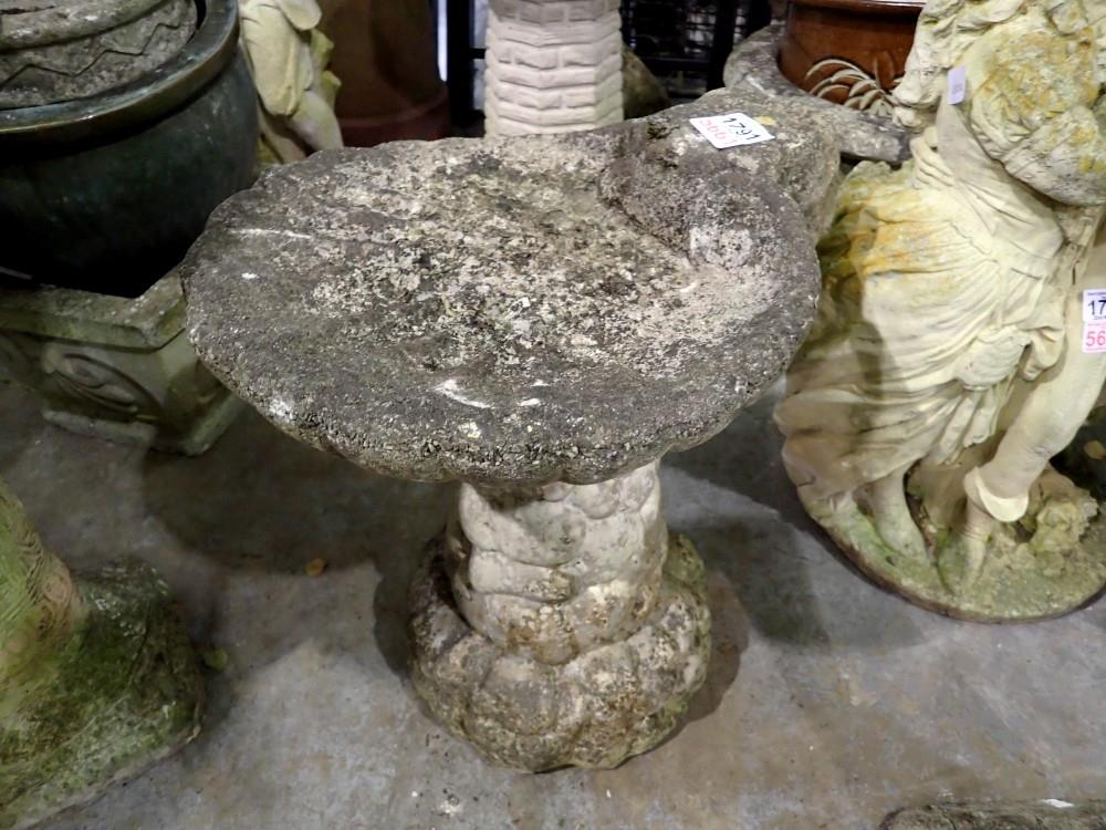 Stone pedestal birdbath with sea shell top. Not available for in-house P&P