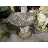 Stone pedestal birdbath with sea shell top. Not available for in-house P&P