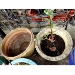 Two garden pots. Not available for in-house P&P