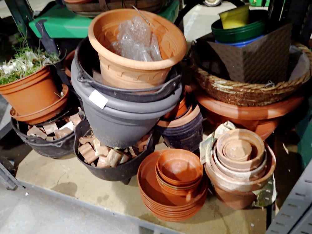 Large quantity of plant pots. Not available for in-house P&P