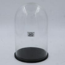 Glass dome raised on a circular wooden base, H: 30 cm. Not available for in-house P&P