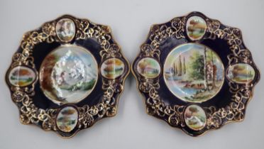 A pair of Portuguese cabinet plates, each gilt and displaying a large painted bowl surrounded by