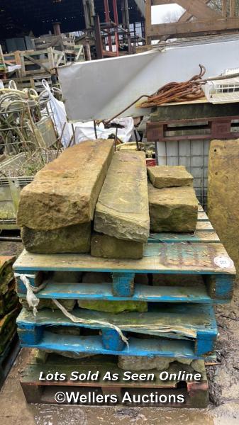 ELEVEN PIECES OF STONE, VARIOUS SHAPES AND SIZES, LARGEST 125CM (L) X 27 (W) X 18CM (D)