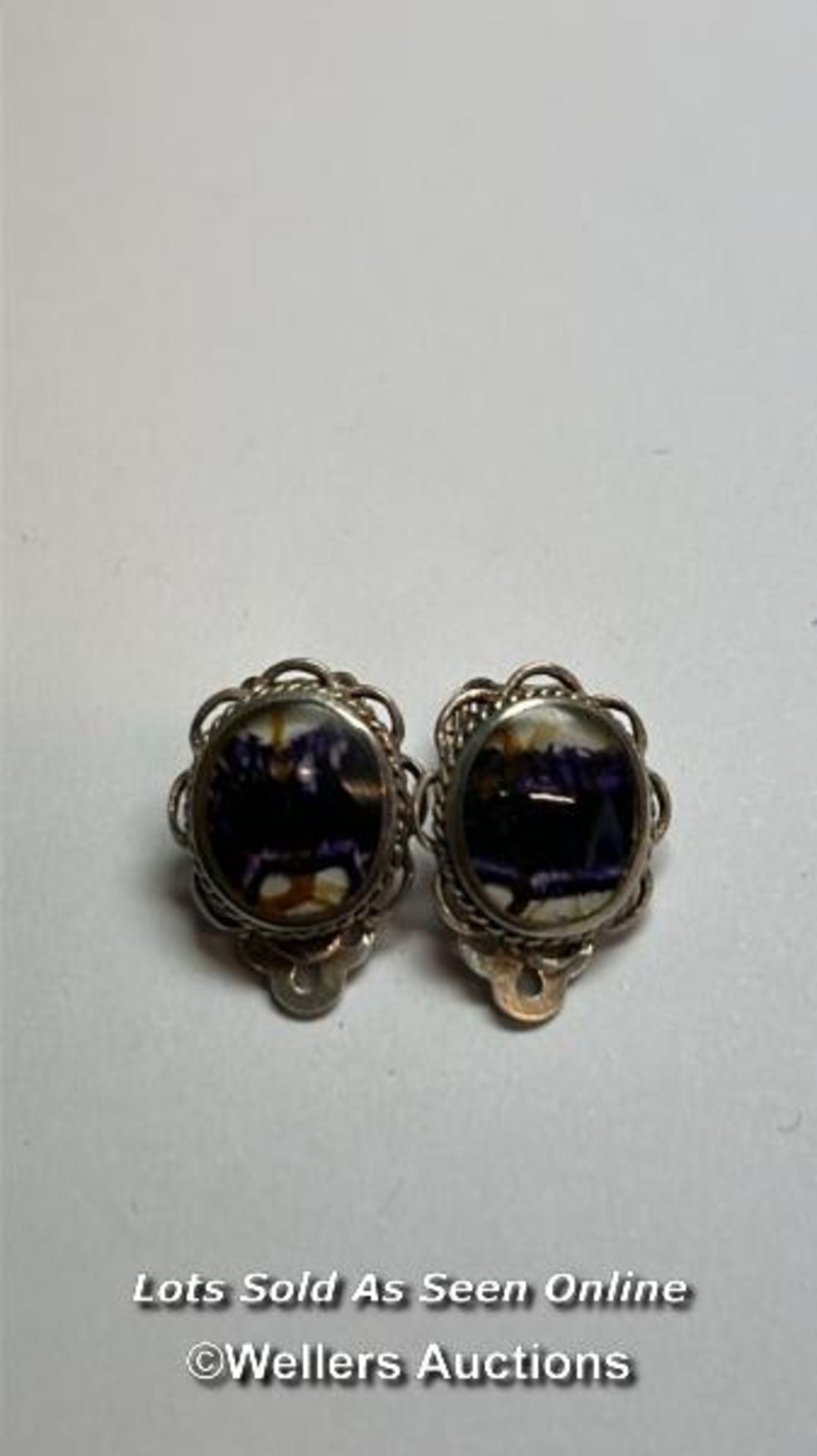 A pair of Blue John flourite earings with clip fittings, a silver charm and ring / SF - Image 6 of 7