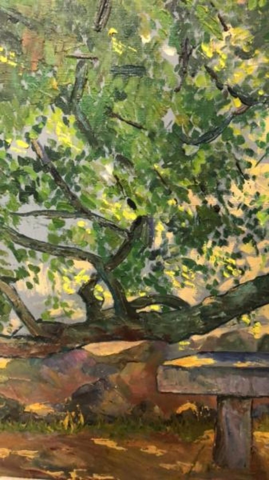 Original oil on canvas of a bench under a tree signed Max Tams, 61 x 52cm / AN60 - Image 4 of 6