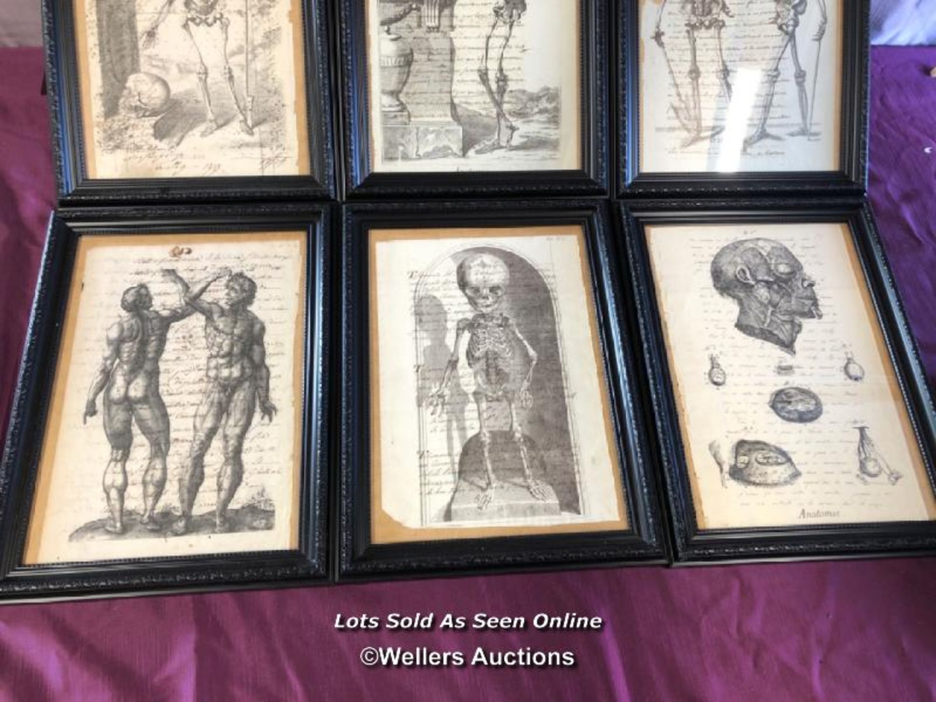 TEN FRAMED AND GLAZED ANATOMICAL AND SKELETAL 18TH CENTURY ENGRAVINGS, OVERWRITTEN, FRAME SIZE 30. - Image 5 of 5