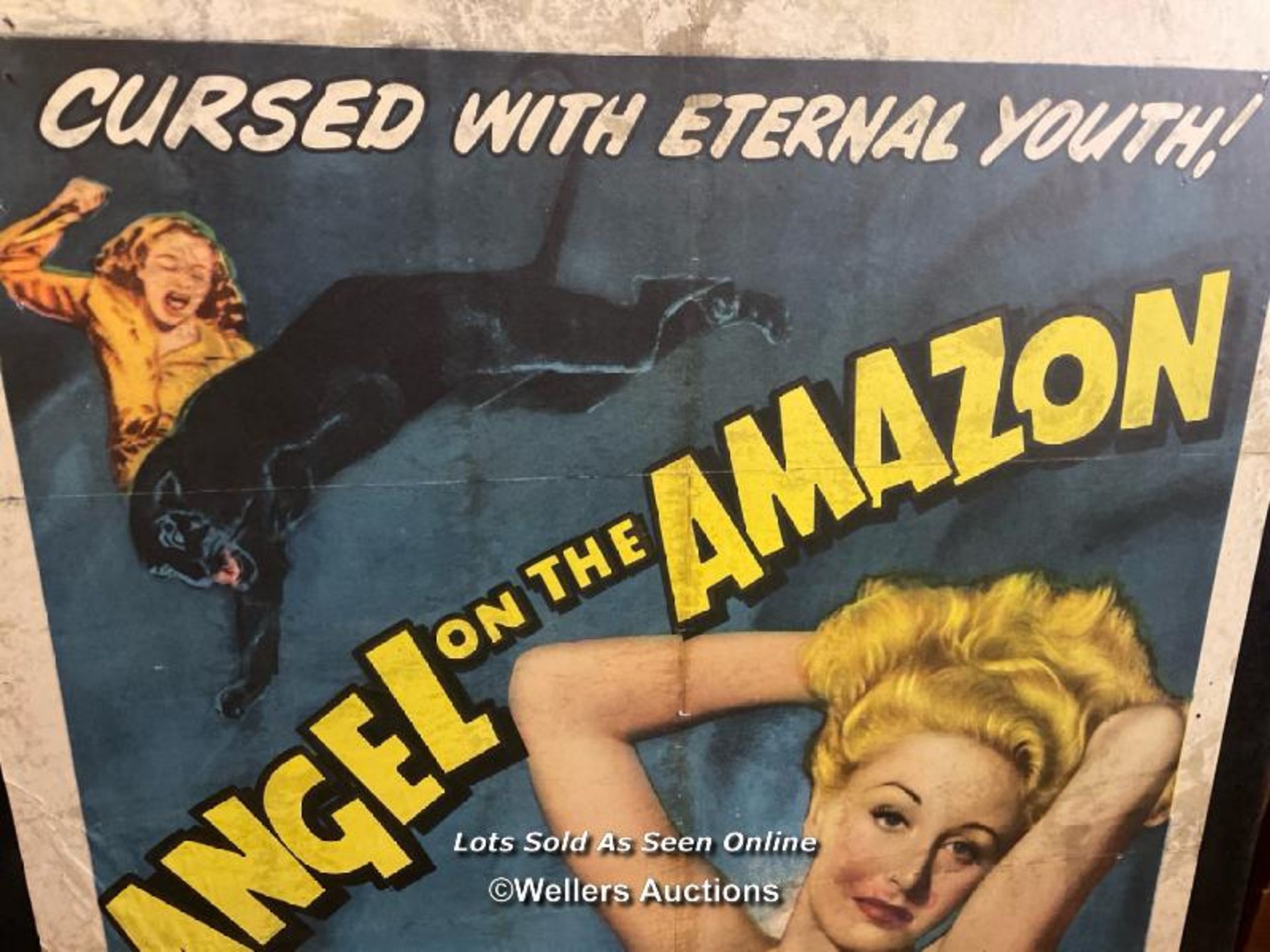 'ANGLE ON THE AMAZON' FILM POSTER, 1940'S PASTED ONTO BOARD FOR THEATRICAL USE, POSTER SIZE 69 X - Image 3 of 4