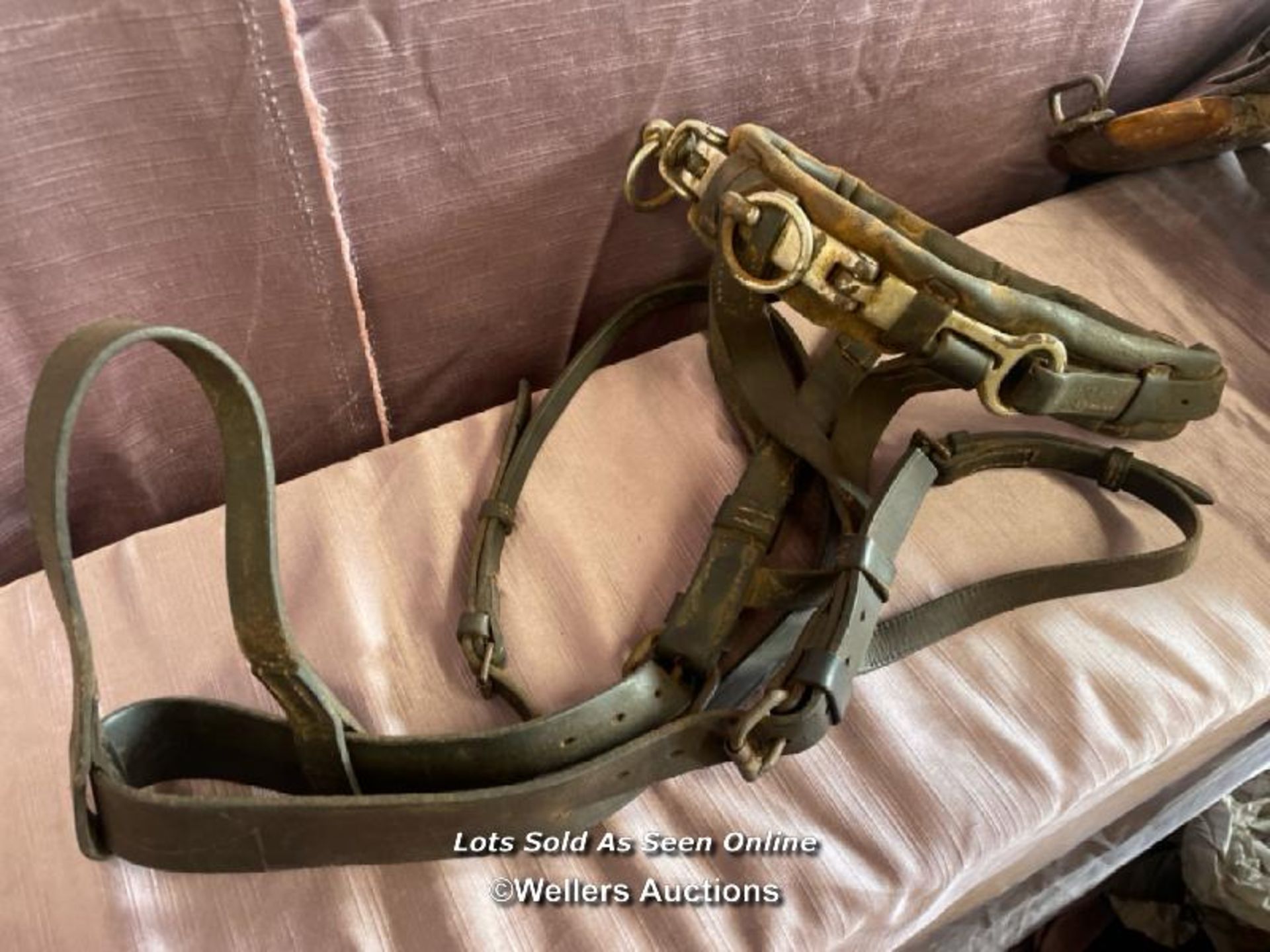 CIRCA 1900, BOER WAR PERIOD MILITARY SADDLE WITH ASSOCIATED HORSE BIT AND HARNESS - Image 2 of 4