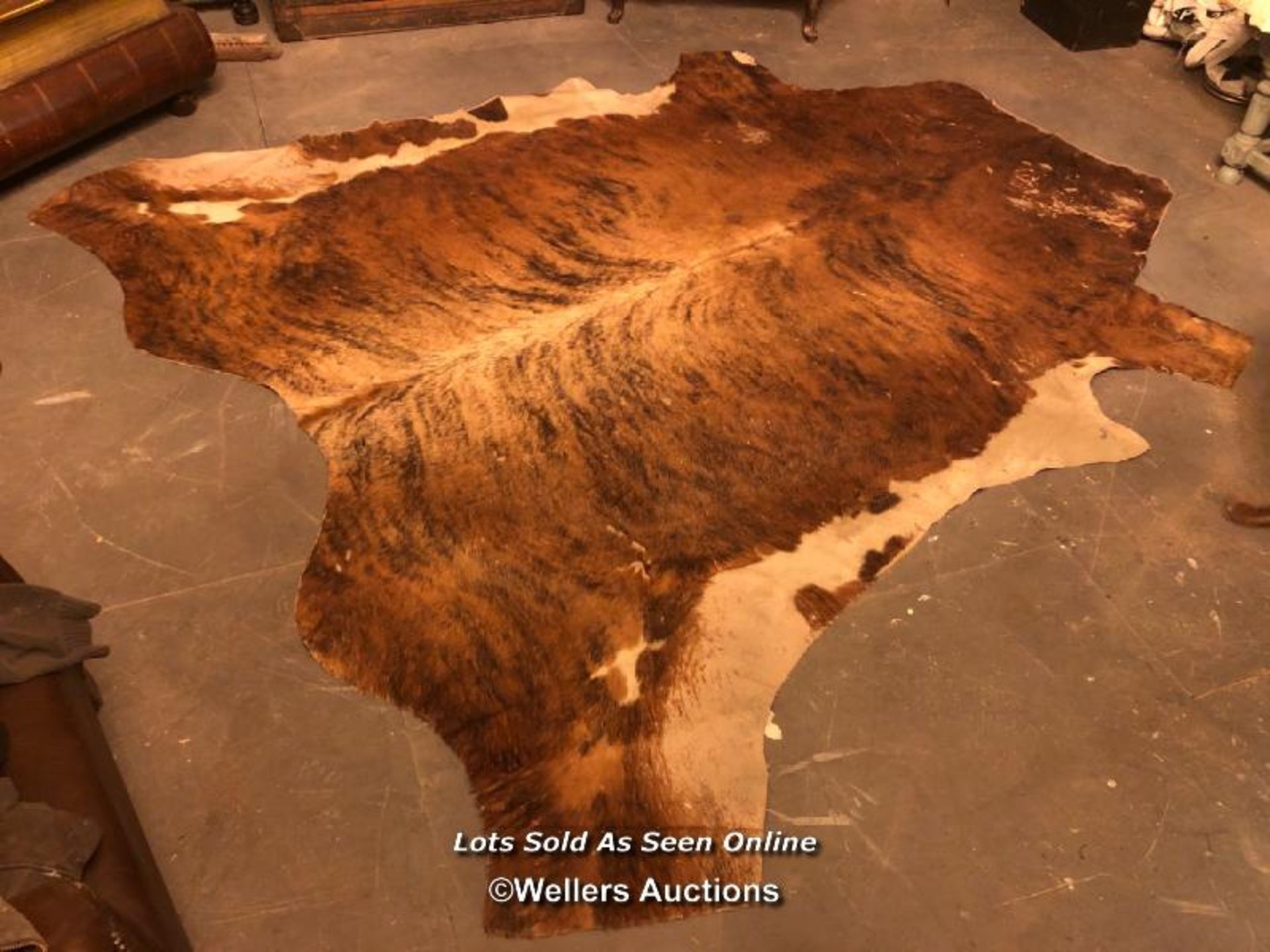 EXOTIC BREED COW HIDE, 260 X 230CM
