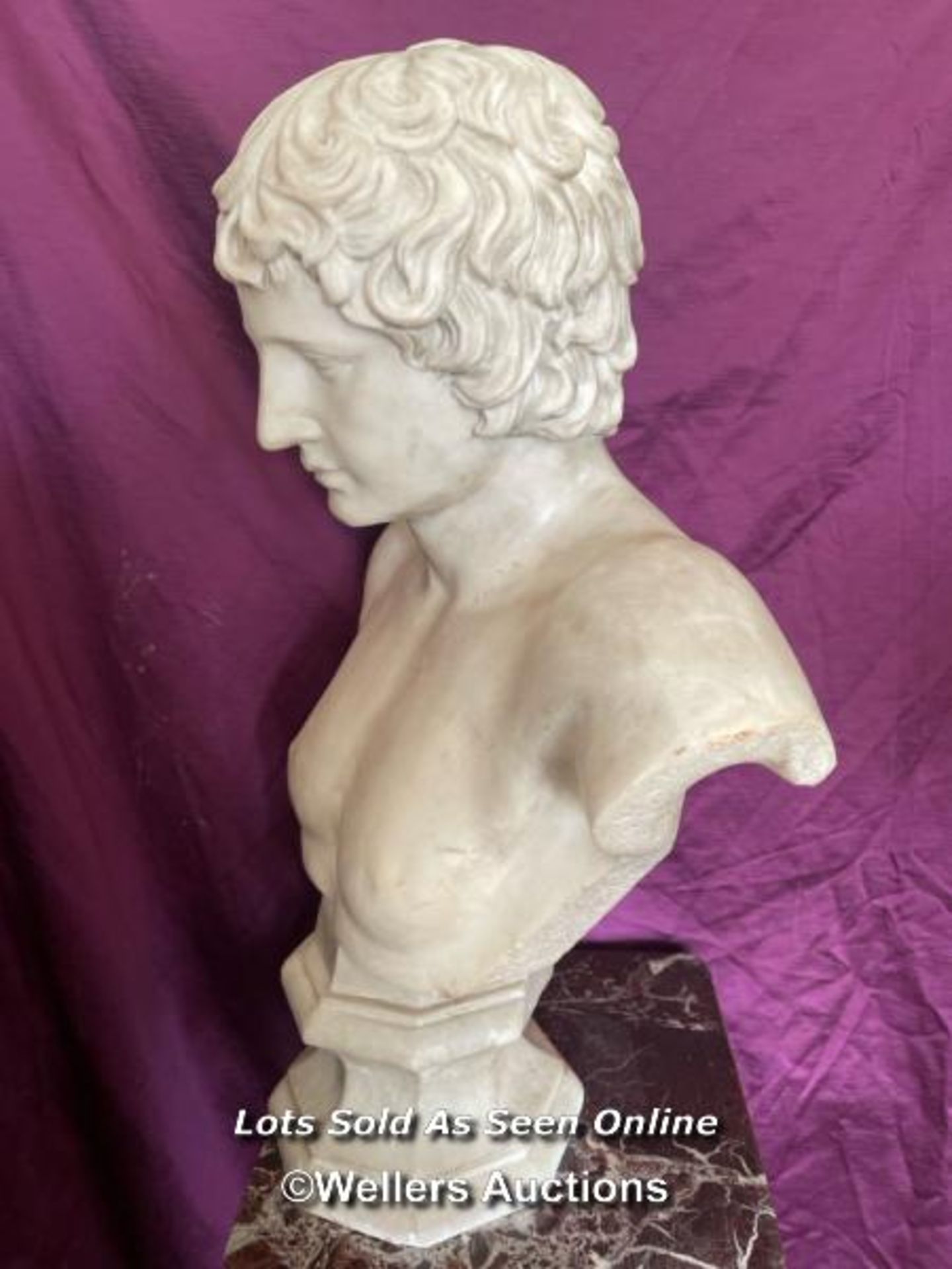 19TH CENTURY MARBLE BUST OF ANTINOUS, 55 X 23 (BASE) X 73.5CM - This lot is located away from the - Image 6 of 7