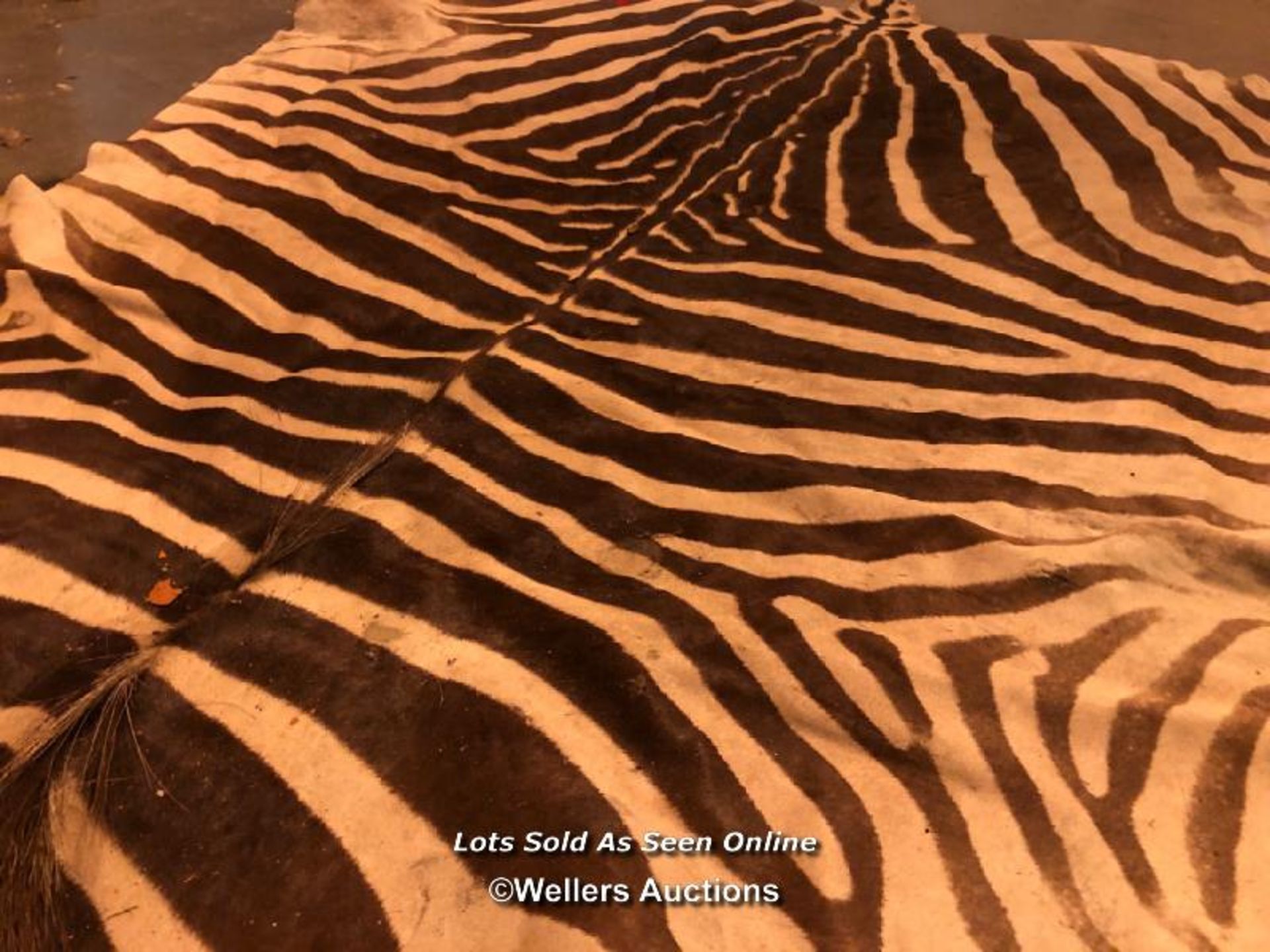 CIRCA 1930 GREVY'S BROWN AND WHITE ZEBRA SKIN RUG, 256 X 170CM - Image 2 of 4