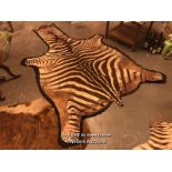 CIRCA 1910 GREVY'S BROWN AND WHITE ZEBRA SKIN RUG, 250 X 182CM