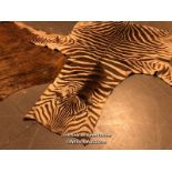 CIRCA 1930 GREVY'S BROWN AND WHITE ZEBRA SKIN RUG, 256 X 170CM