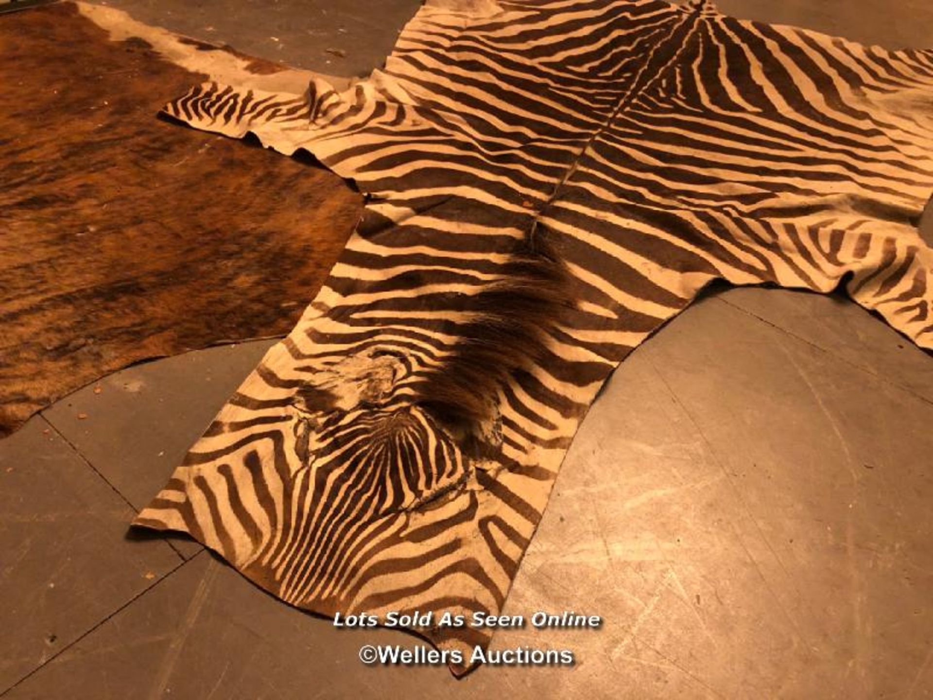 CIRCA 1930 GREVY'S BROWN AND WHITE ZEBRA SKIN RUG, 256 X 170CM