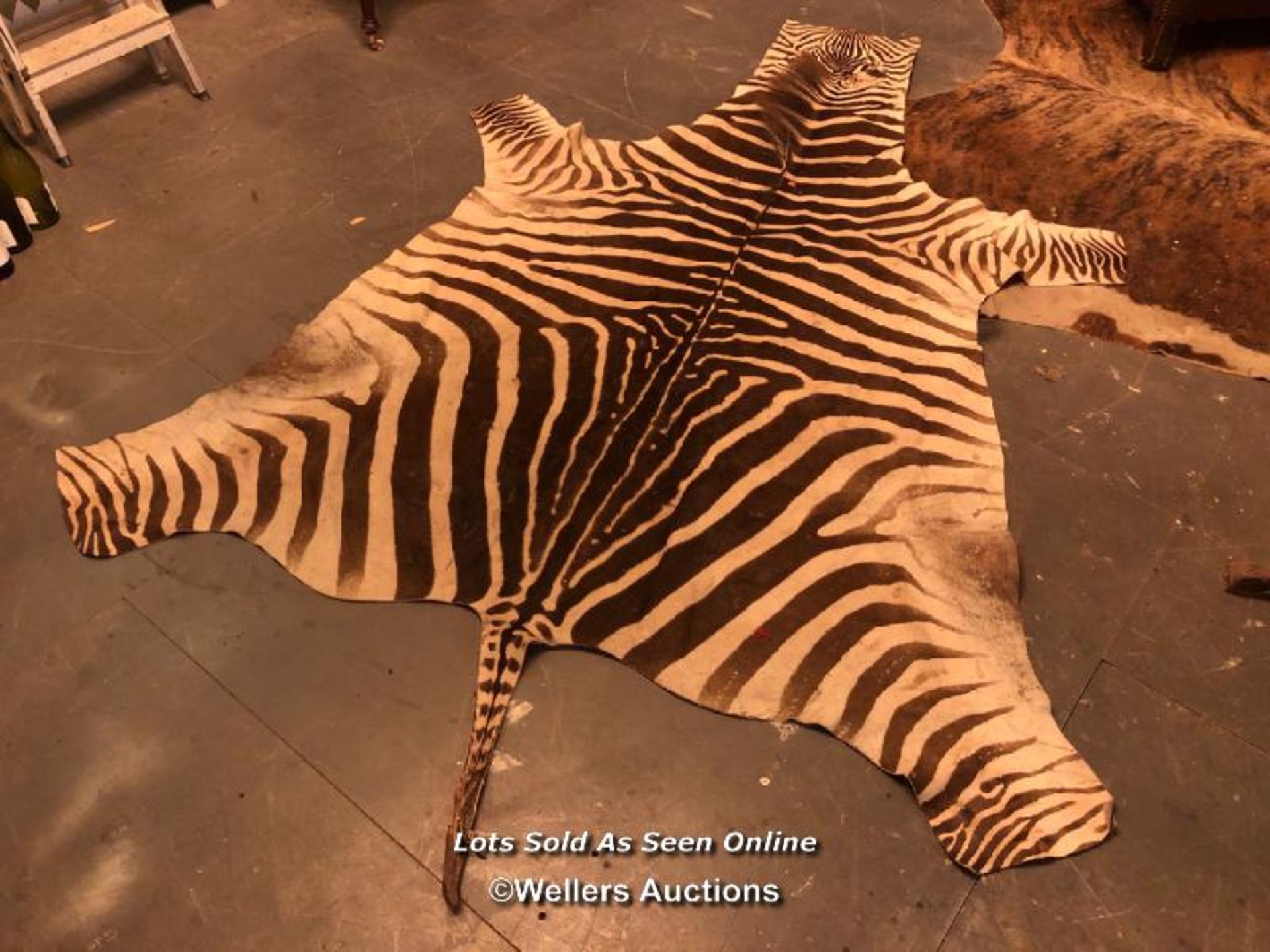 CIRCA 1930 GREVY'S BROWN AND WHITE ZEBRA SKIN RUG, 256 X 170CM - Image 4 of 4