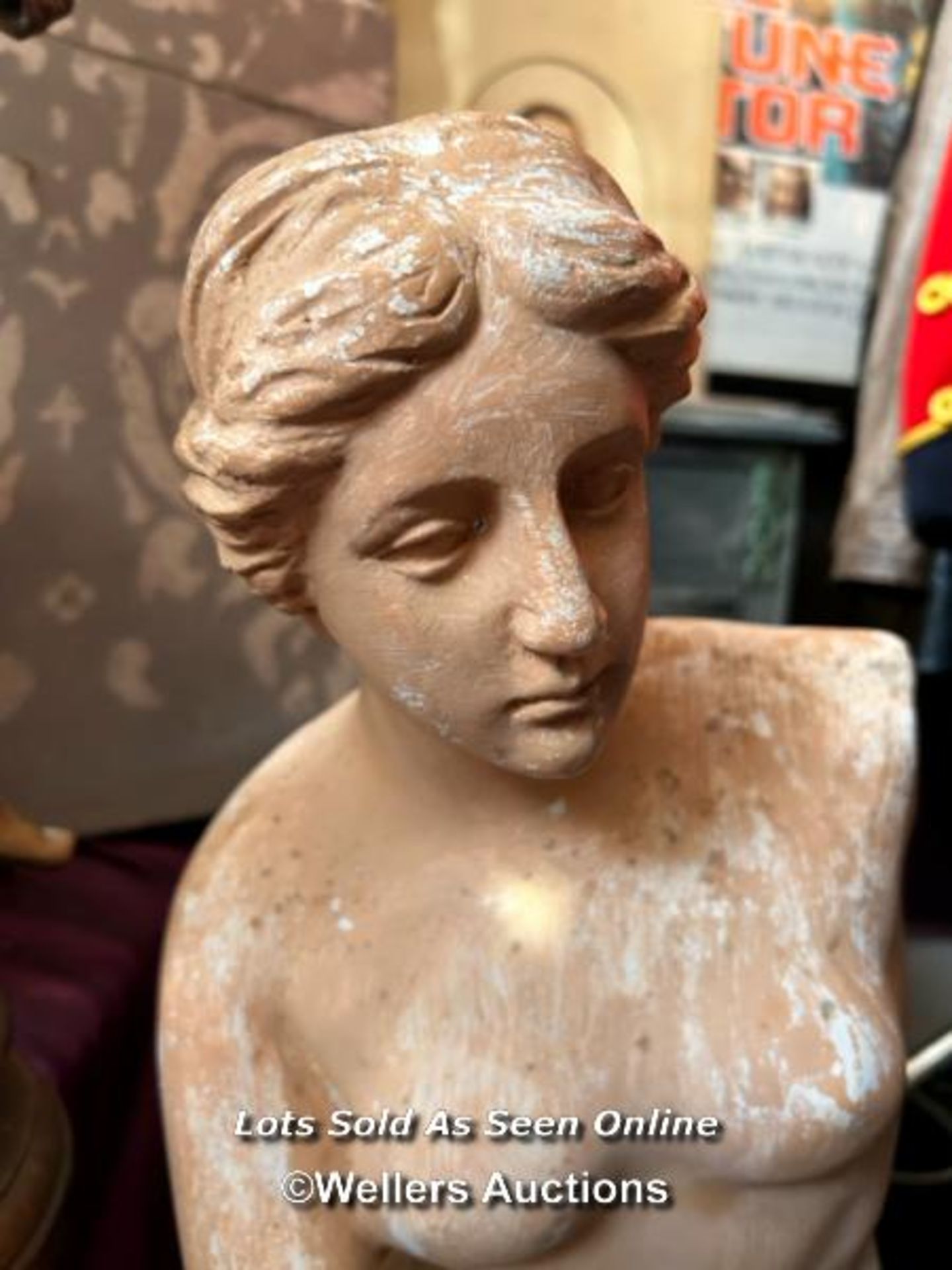 RESIN CLASSICAL STATUE - Image 2 of 3