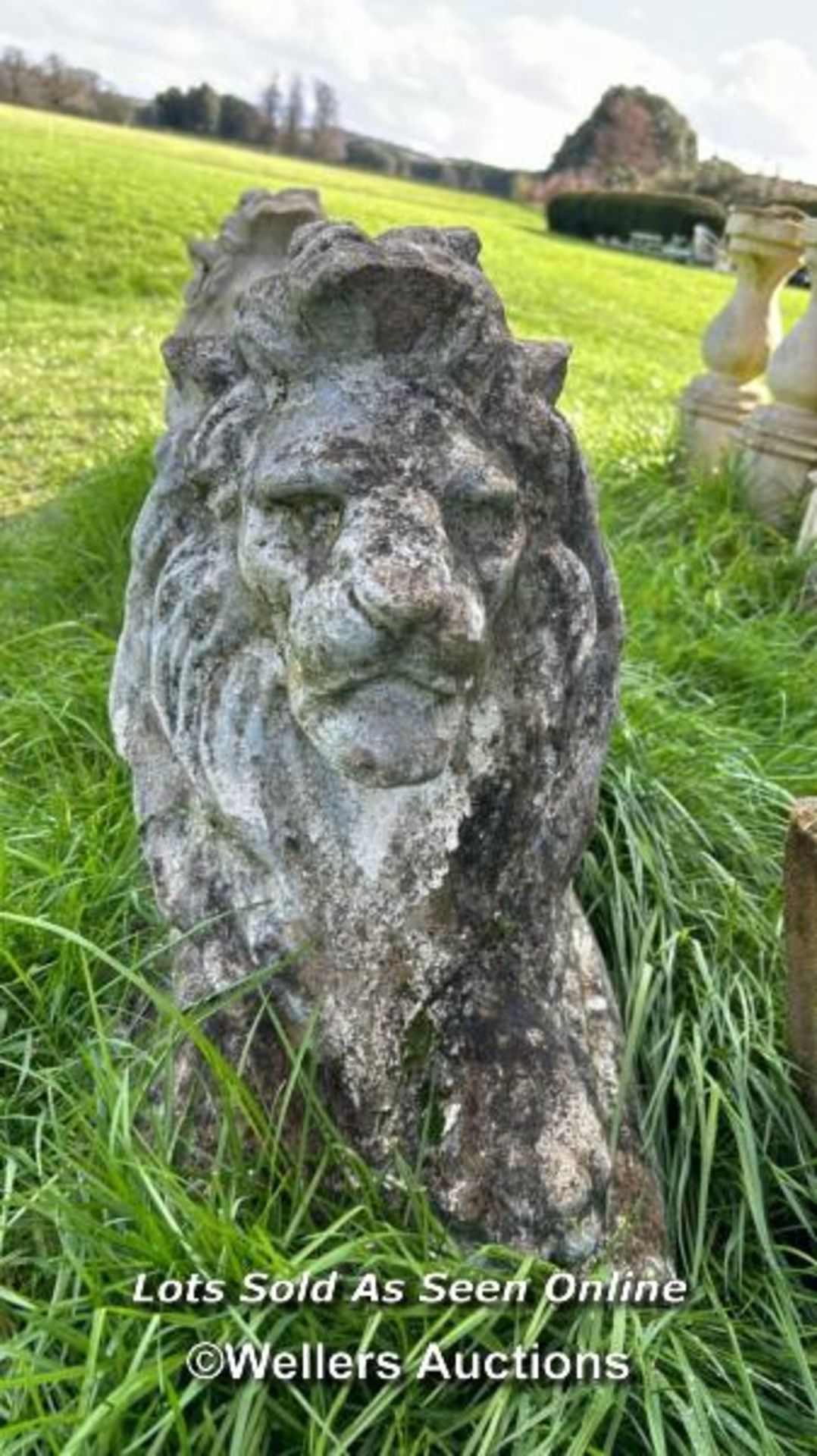 PAIR OF COMPOSITION RECUMBENT LION STATUES, WEATHERED, 70 X 30 X 50CM - Image 3 of 7