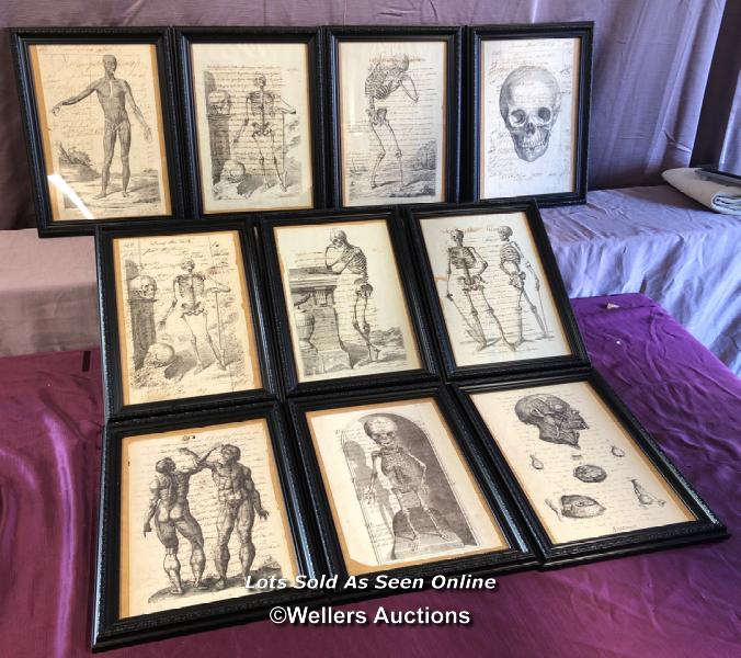 TEN FRAMED AND GLAZED ANATOMICAL AND SKELETAL 18TH CENTURY ENGRAVINGS, OVERWRITTEN, FRAME SIZE 30.