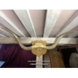 LONG HORN STEER HORNS, MOUNTED ON SHIELD, WIDTH 145CM