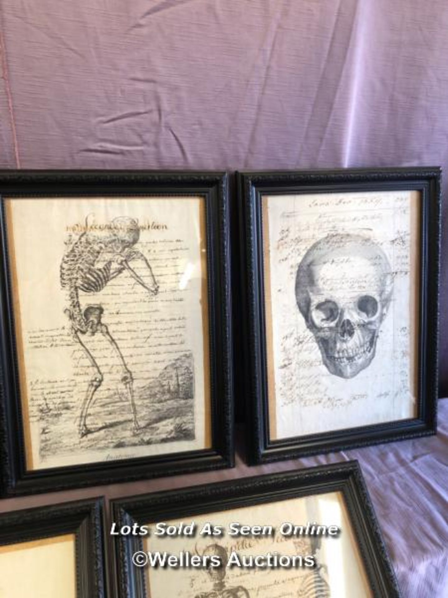 TEN FRAMED AND GLAZED ANATOMICAL AND SKELETAL 18TH CENTURY ENGRAVINGS, OVERWRITTEN, FRAME SIZE 30. - Image 3 of 5