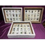 COLLECTION OF FORTY FIVE EXOTIC BUGS, DISPLAYED RESIN CASES OVER THREE DISPLAY BOXES, 38 X 31.5CM