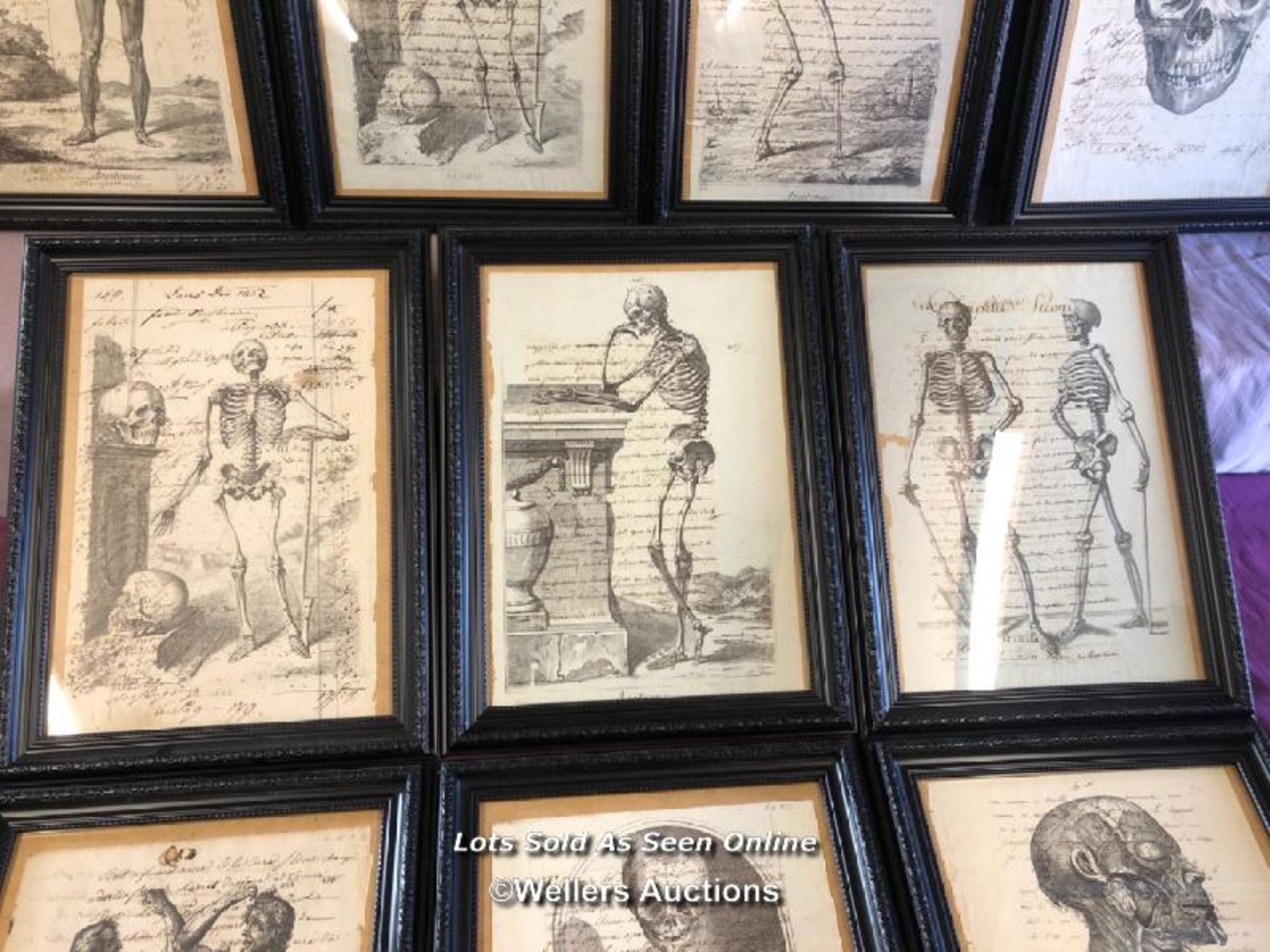 TEN FRAMED AND GLAZED ANATOMICAL AND SKELETAL 18TH CENTURY ENGRAVINGS, OVERWRITTEN, FRAME SIZE 30. - Image 4 of 5