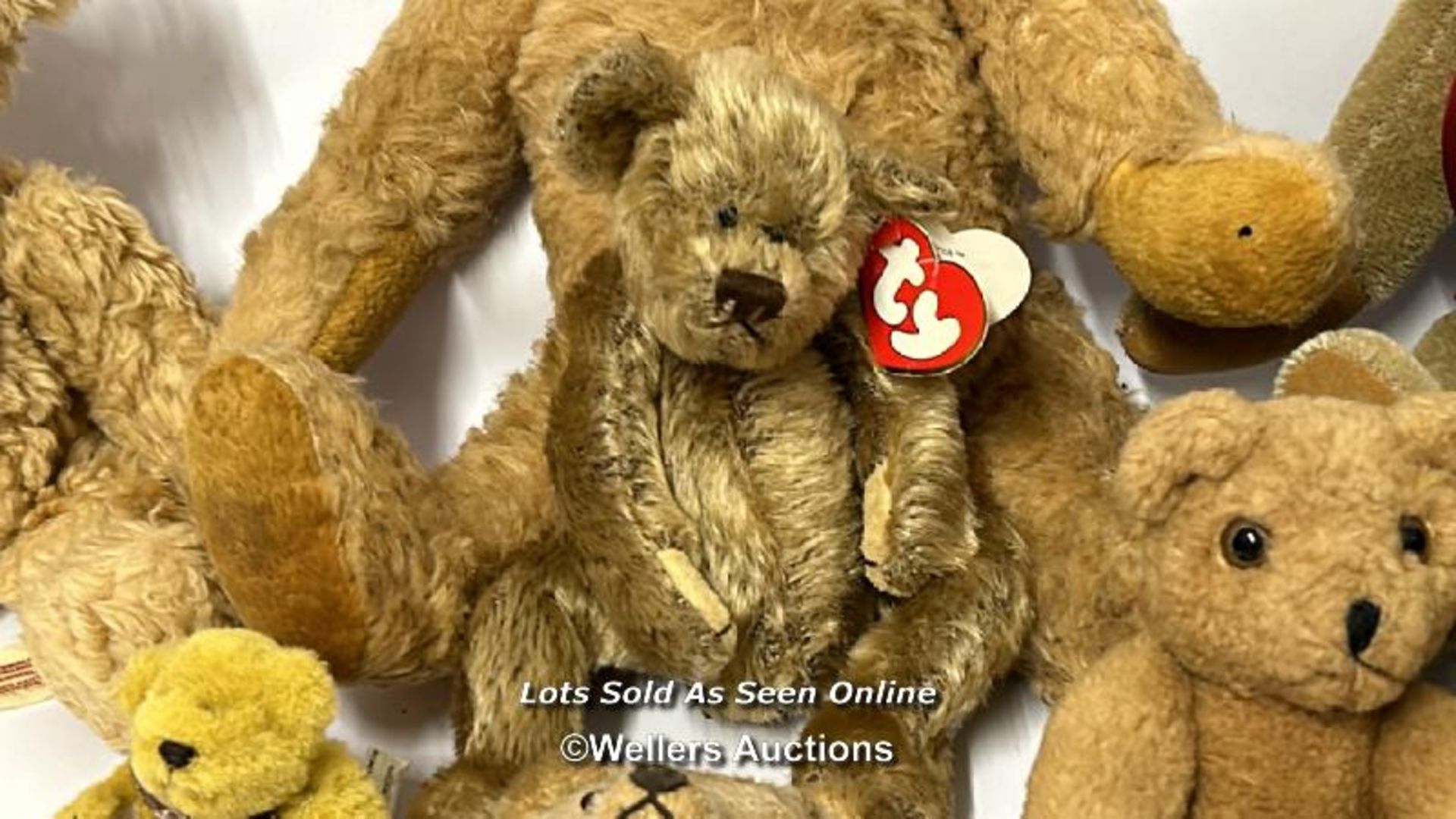 Seven assorted teddy bears including one TY "Birch" and a teddy bear hand puppet / AN10 - Image 2 of 5