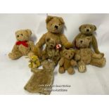 Seven assorted teddy bears including one TY "Birch" and a teddy bear hand puppet / AN10