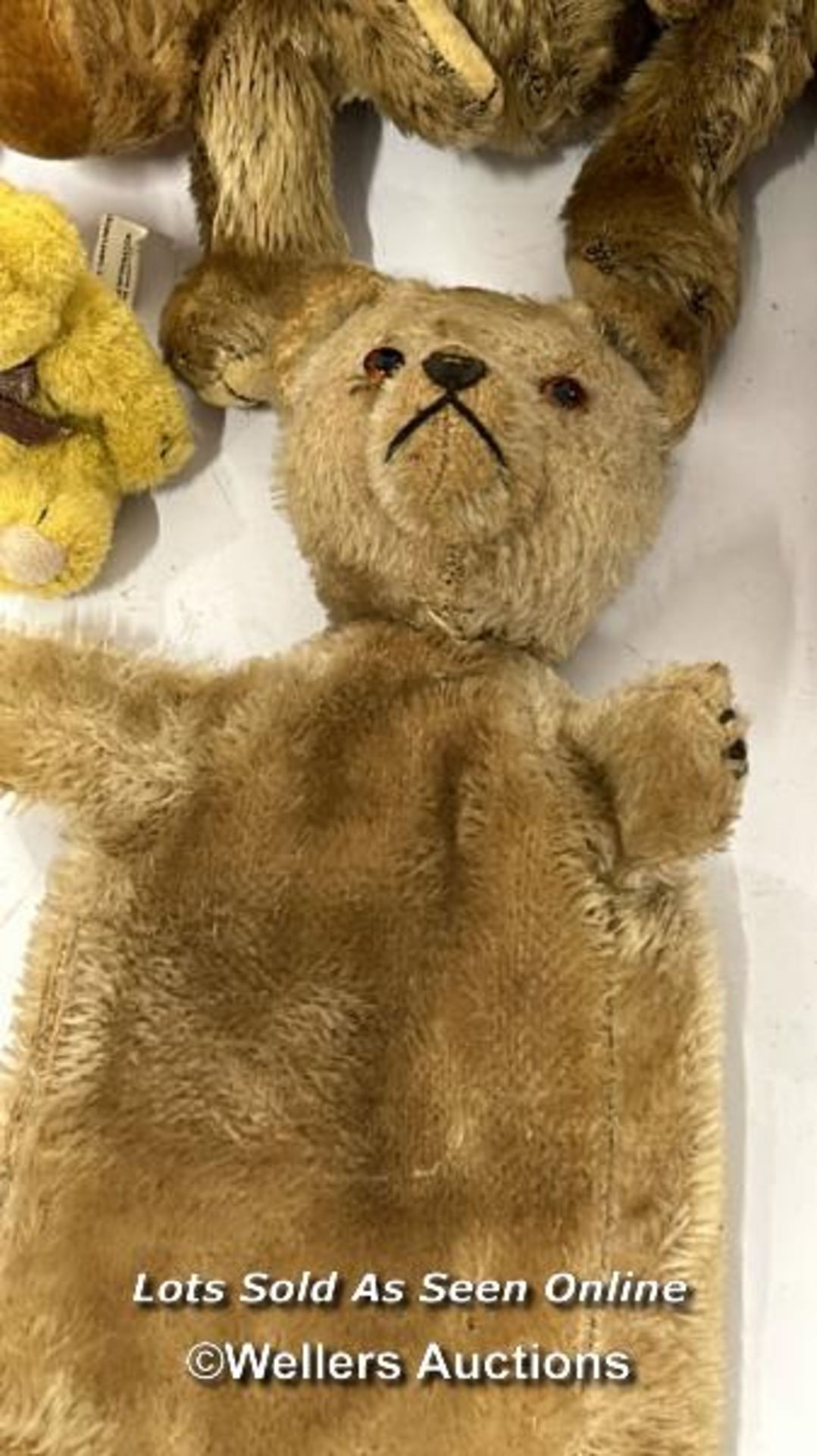 Seven assorted teddy bears including one TY "Birch" and a teddy bear hand puppet / AN10 - Bild 5 aus 5
