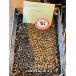 LARGE QUANTITY OF RUMBLER STONES