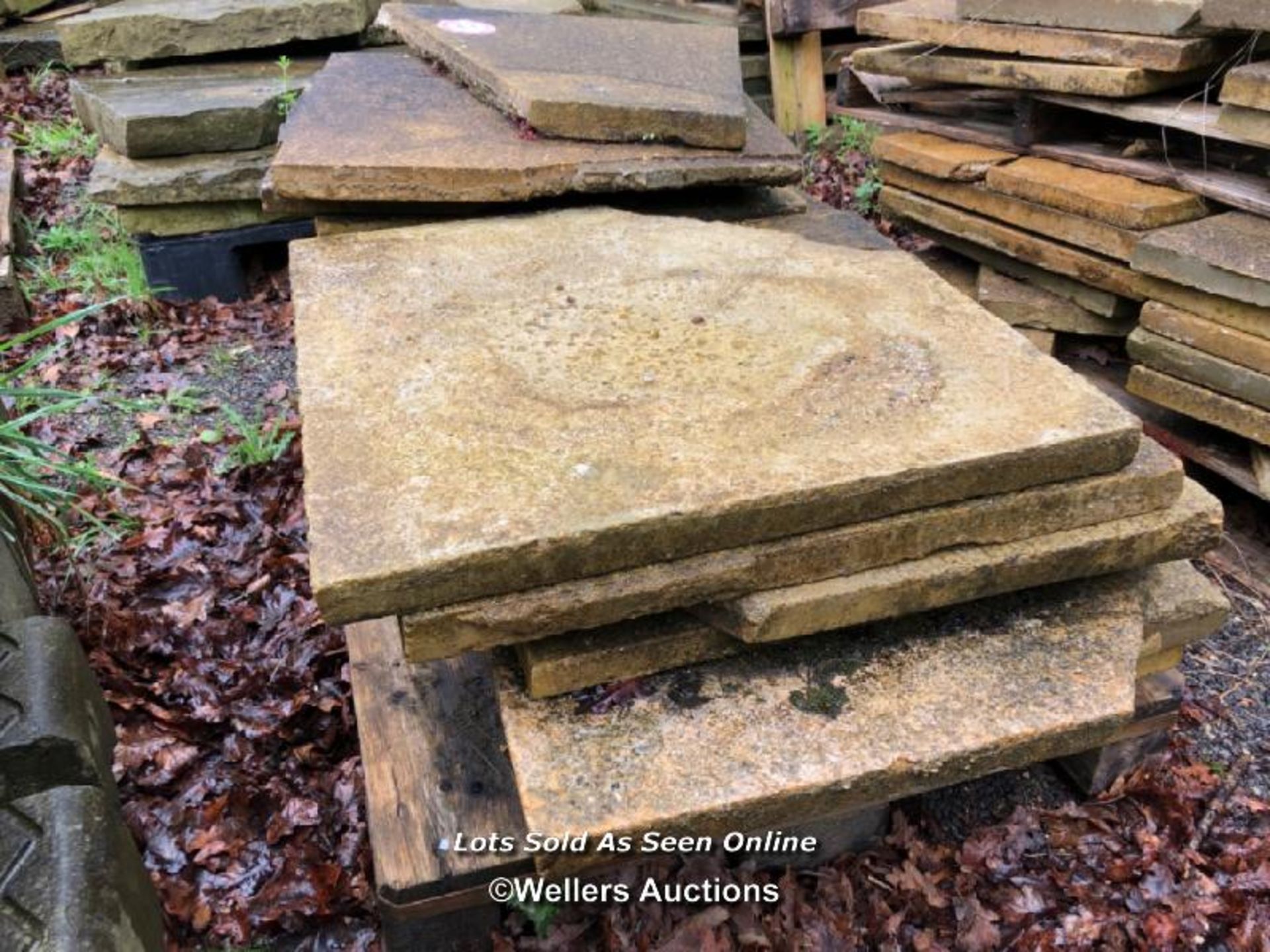 EIGHTEEN PIECES OF ASSORTED STONE PAVING, VARIOUS SIZES, LARGEST 60CM W X 60CM L