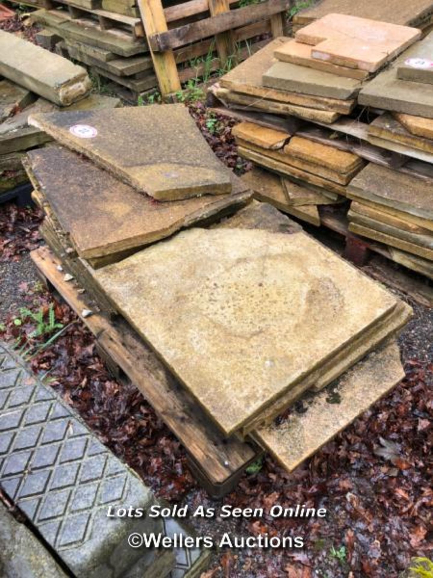 EIGHTEEN PIECES OF ASSORTED STONE PAVING, VARIOUS SIZES, LARGEST 60CM W X 60CM L - Image 2 of 2