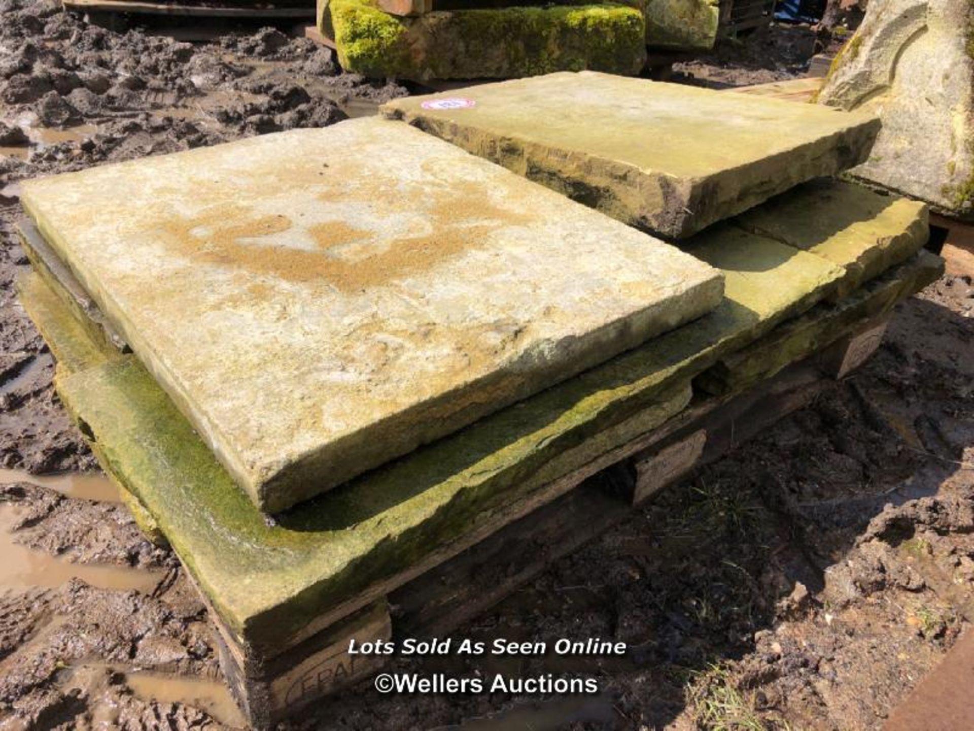 EIGHT PIECES OF YORKSTONE PAVING, VARIOUS SIZES, LARGEST 76CM L X 60CM W - Image 2 of 2