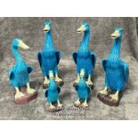 Set of six Chinese turquoise glazed porcelain duck figures, the tallest 29cm high / AN6
