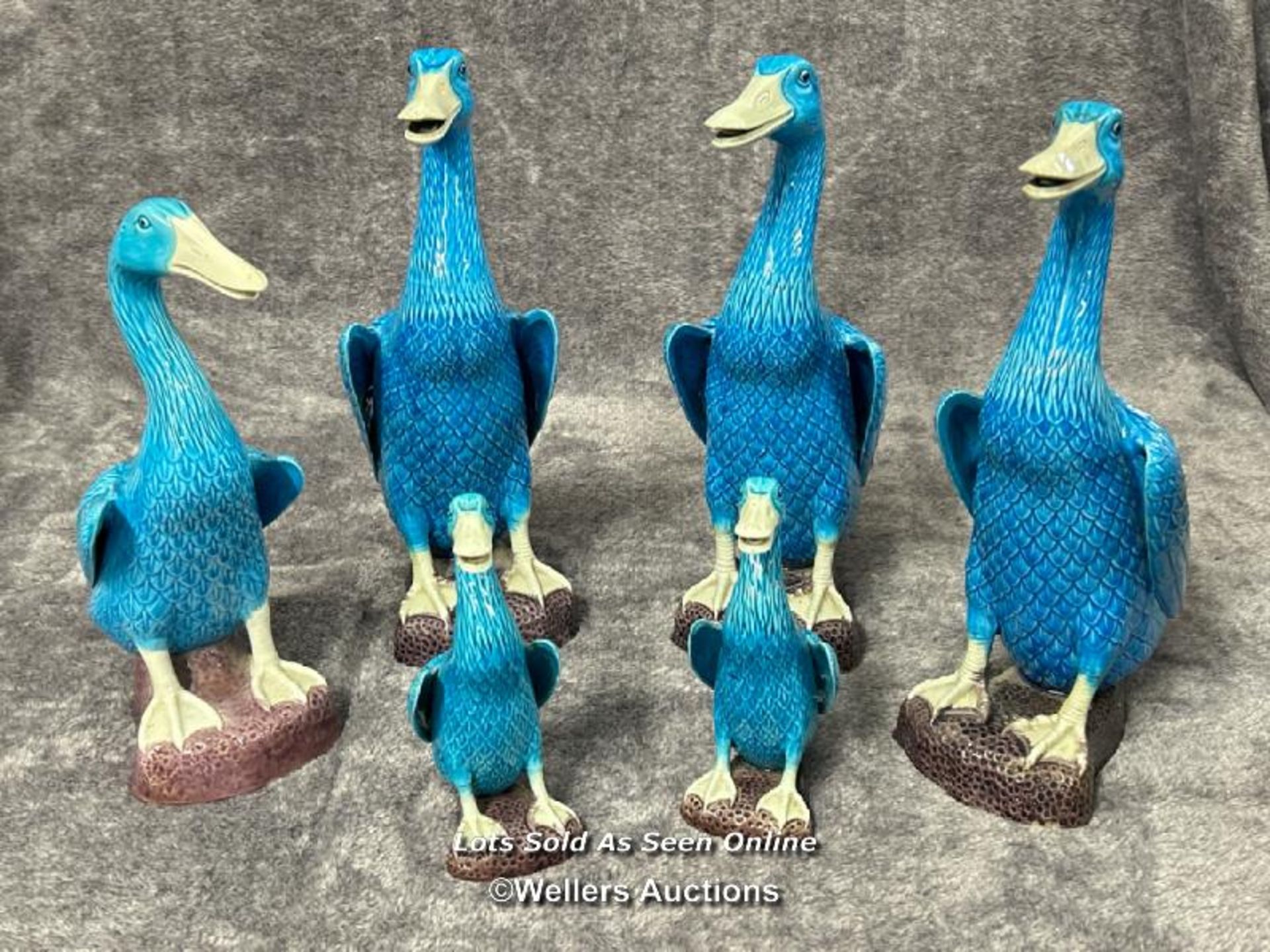 Set of six Chinese turquoise glazed porcelain duck figures, the tallest 29cm high / AN6