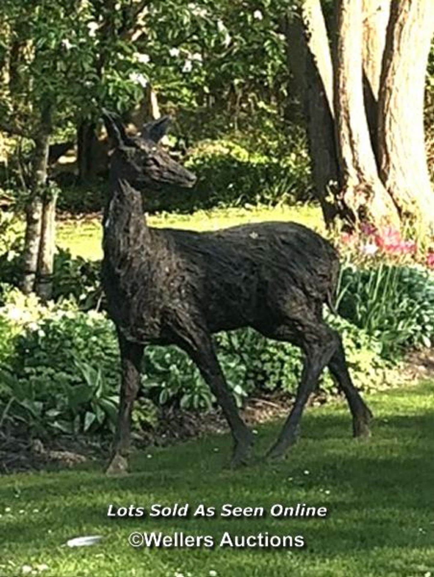 Kate Denton (b.1954), a bronze resin doe, originally purchased in 2017 from Pashley Manor Gardens, - Image 10 of 10