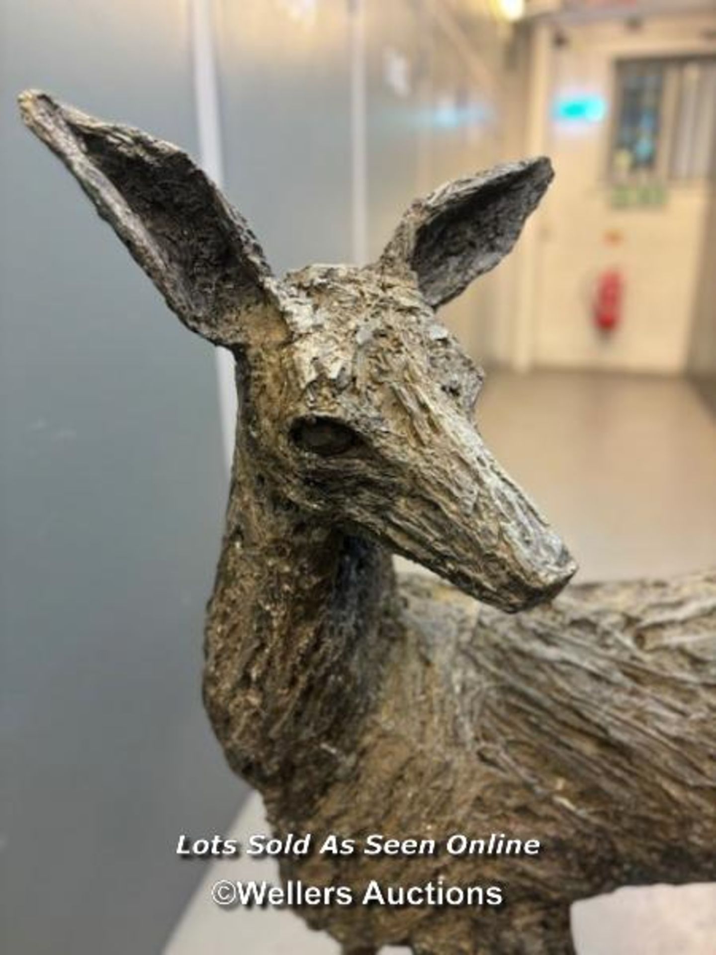 Kate Denton (b.1954), a bronze resin doe, originally purchased in 2017 from Pashley Manor Gardens, - Image 4 of 10