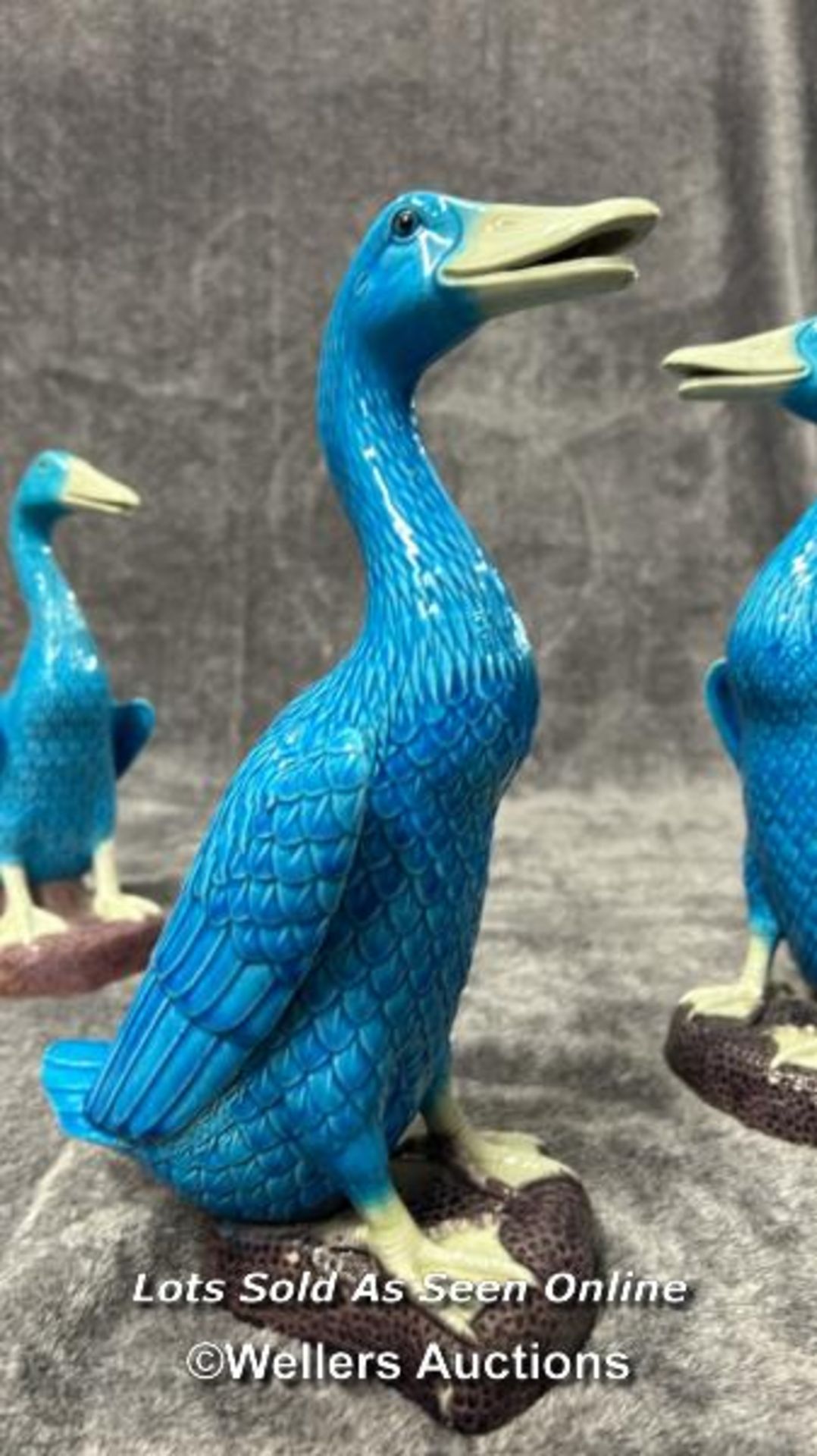 Set of six Chinese turquoise glazed porcelain duck figures, the tallest 29cm high / AN6 - Image 9 of 17