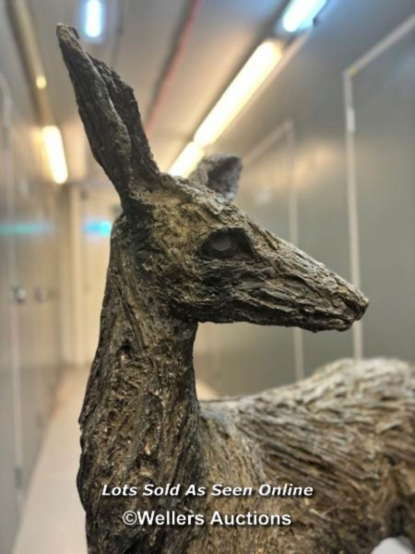 Kate Denton (b.1954), a bronze resin doe, originally purchased in 2017 from Pashley Manor Gardens, - Image 3 of 10