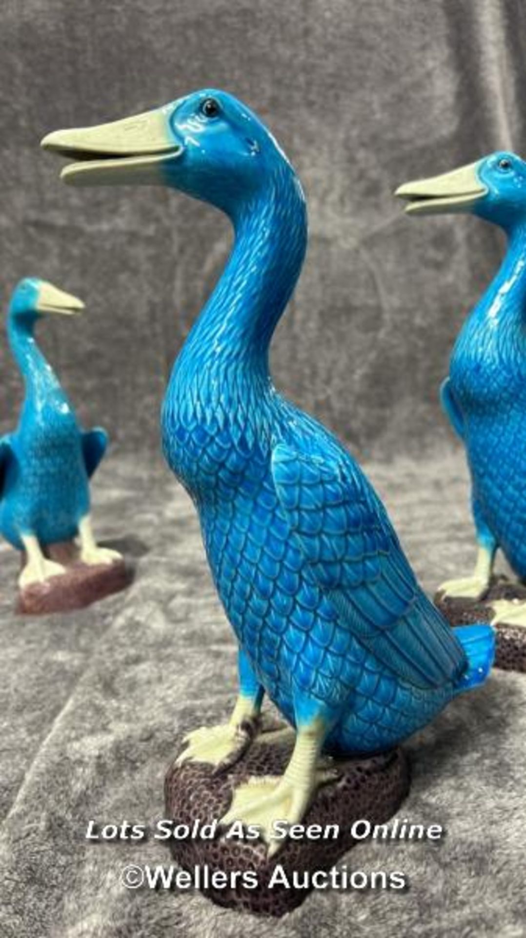 Set of six Chinese turquoise glazed porcelain duck figures, the tallest 29cm high / AN6 - Image 8 of 17