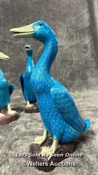 Set of six Chinese turquoise glazed porcelain duck figures, the tallest 29cm high / AN6 - Image 6 of 17