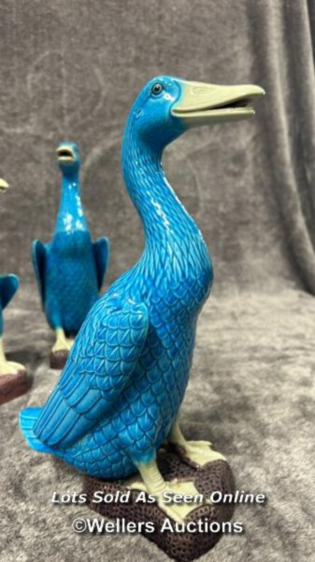 Set of six Chinese turquoise glazed porcelain duck figures, the tallest 29cm high / AN6 - Image 5 of 17